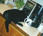 I'm nothing in
                        the morning without my coffee